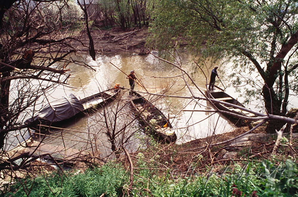 Ruderboote auf einem Seitenarm der Donau