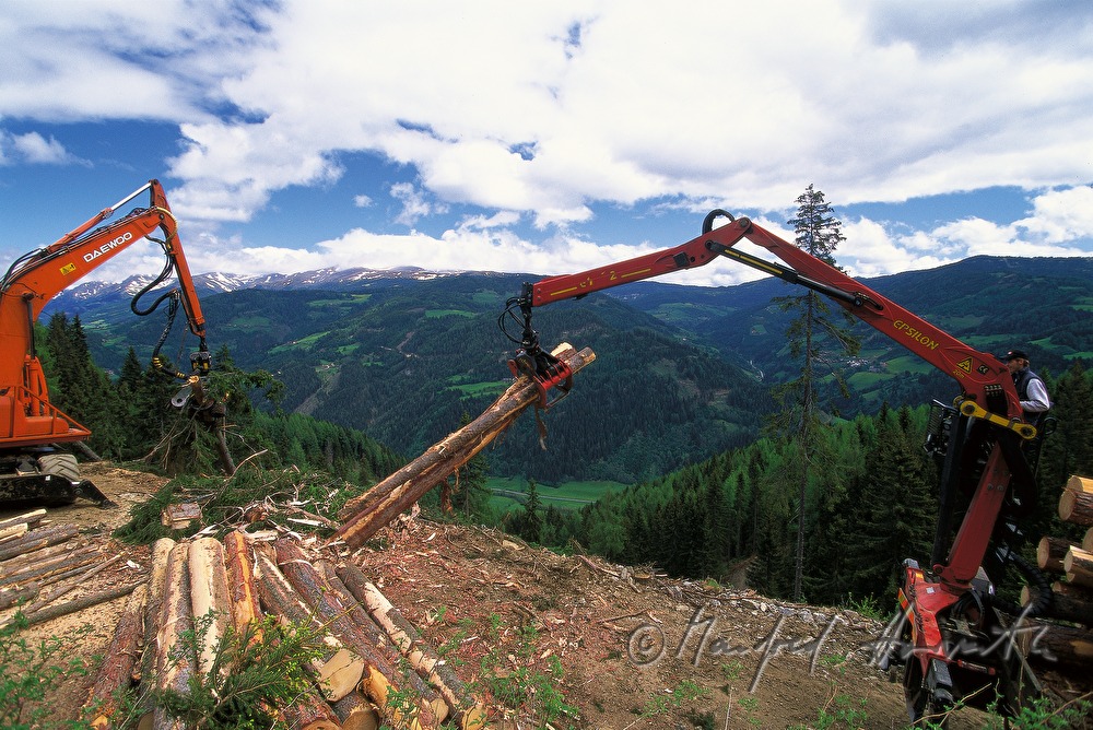 Holzbringung mit Kranfahrzeugen
