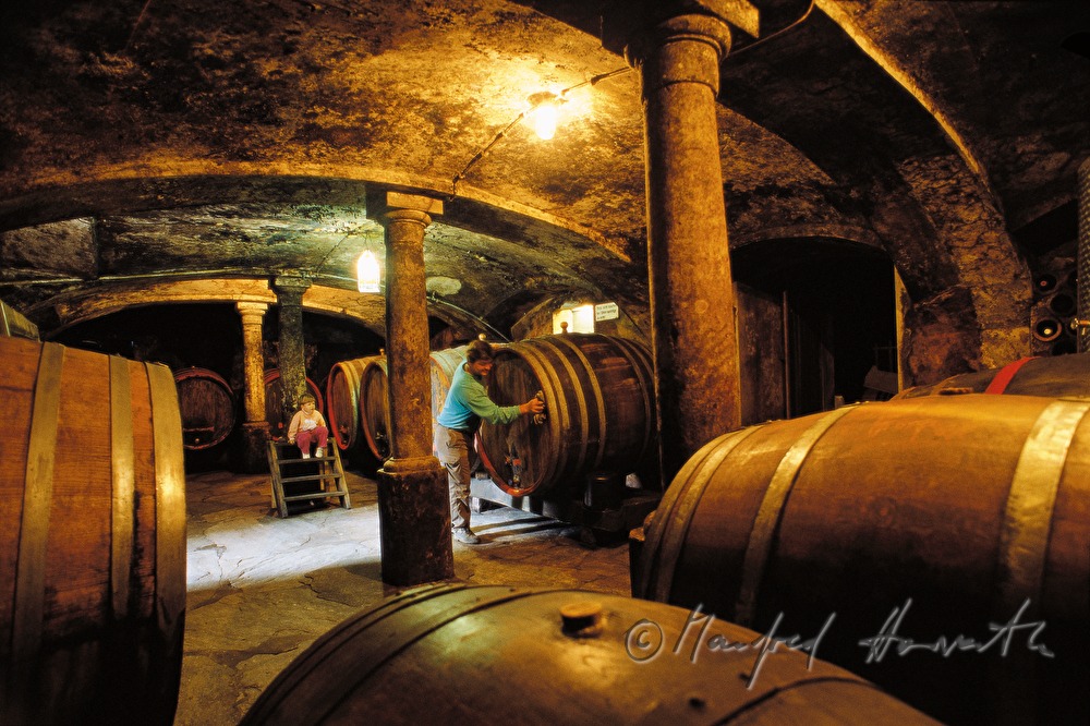 Weinkeller vom Burgweingut