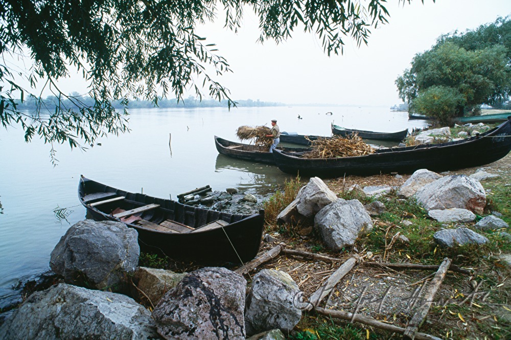 schilfbefülltes Boot an der Anlegestelle am Donauufer