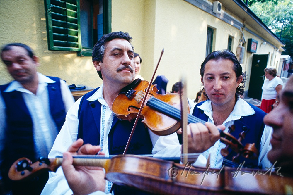 Primgeiger einer Roma-Musikgruppe