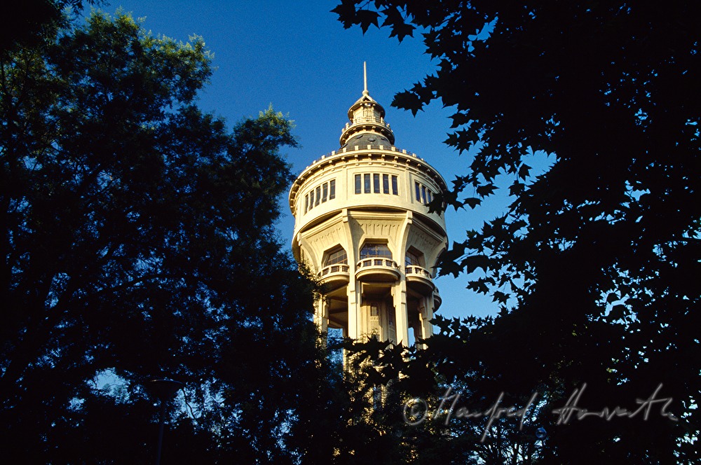 Wasserturm, von Bäumen umgeben