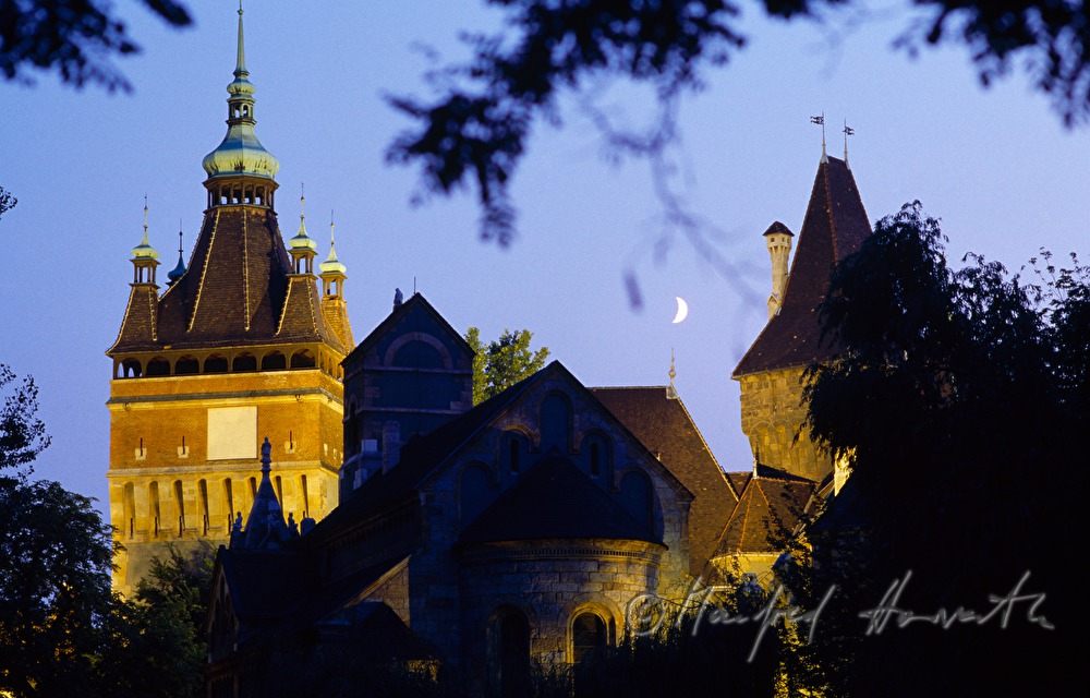 Burg Vajdahunyad und Vollmond