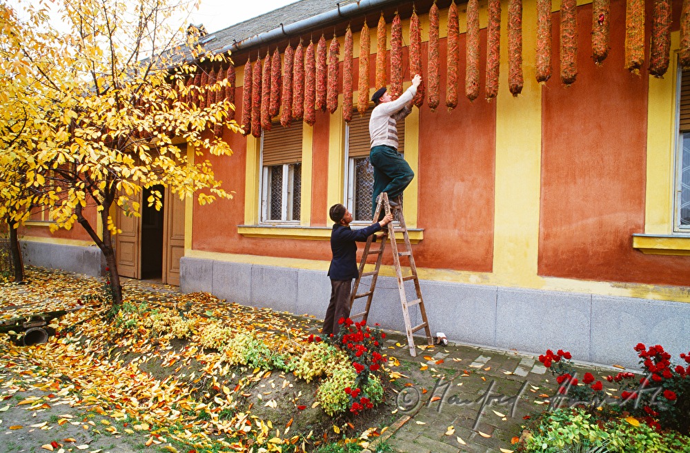 Aufhängen von Netzen mit Paprika zum Trocknen
