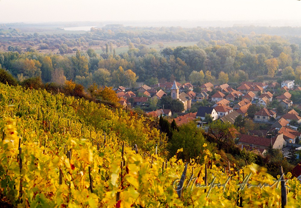 Weinberge, Ort und Theiß