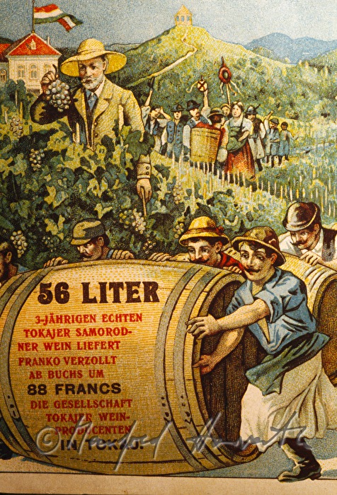 Tokajer Museum: altes Plakat