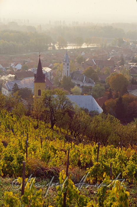 Weinberge, Ort und Theiß