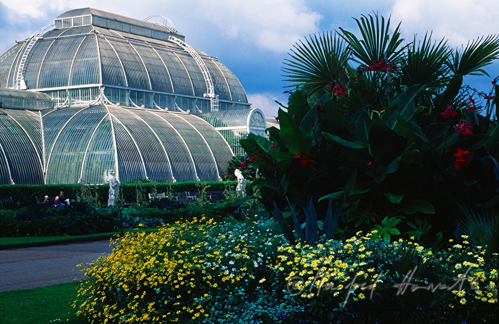 Palmenhaus und Blumenbeet