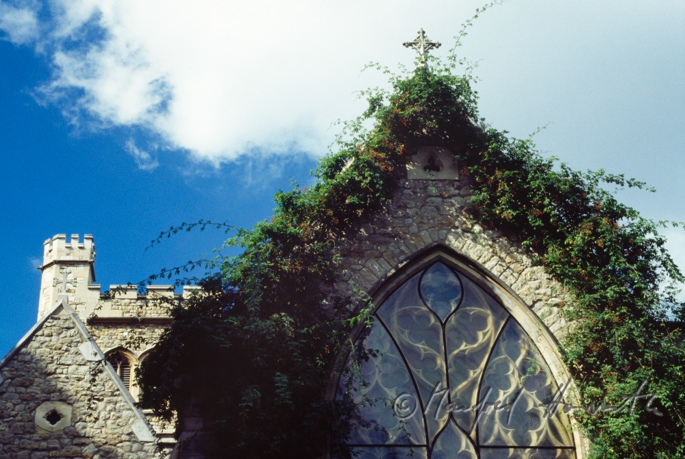 St Mary-at-Lambeth Church, Dach