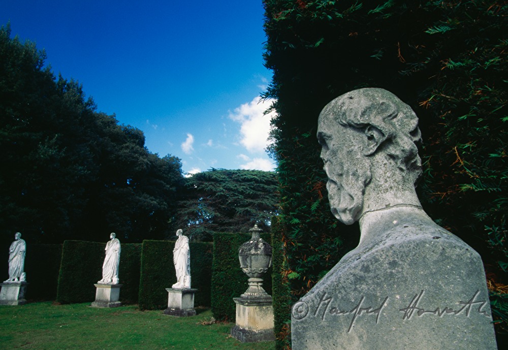 Eibenhecke mit Statuen