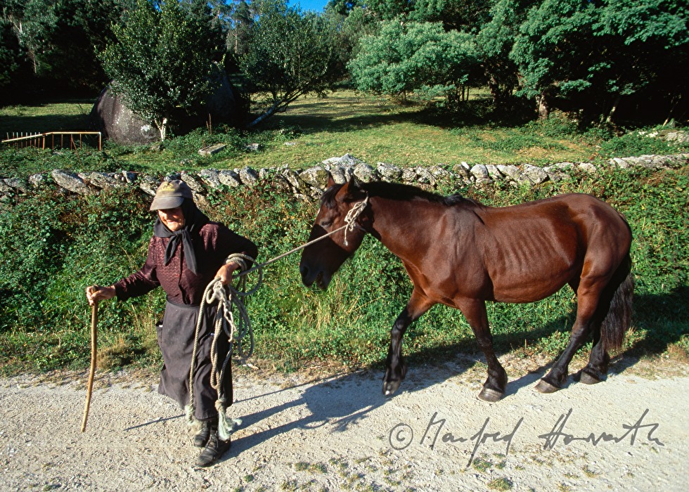 Bäuerin mit Pferd