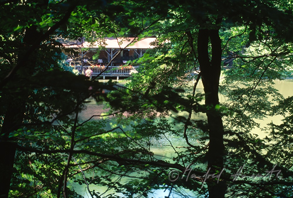 Restaurant am Hanslteich