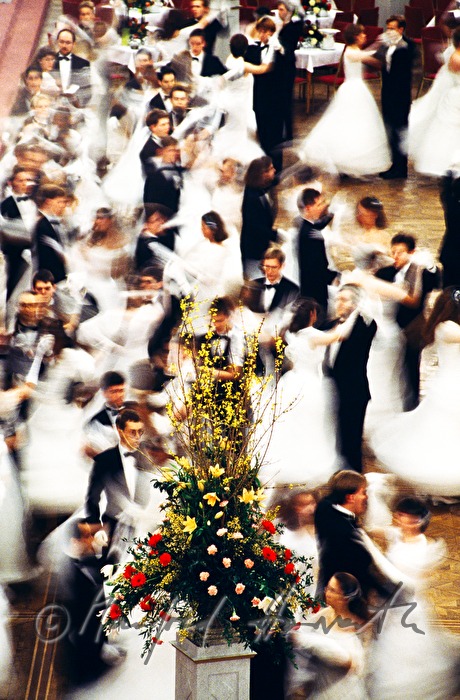 Rathausball, Walzertänzer und Blumenschmuck