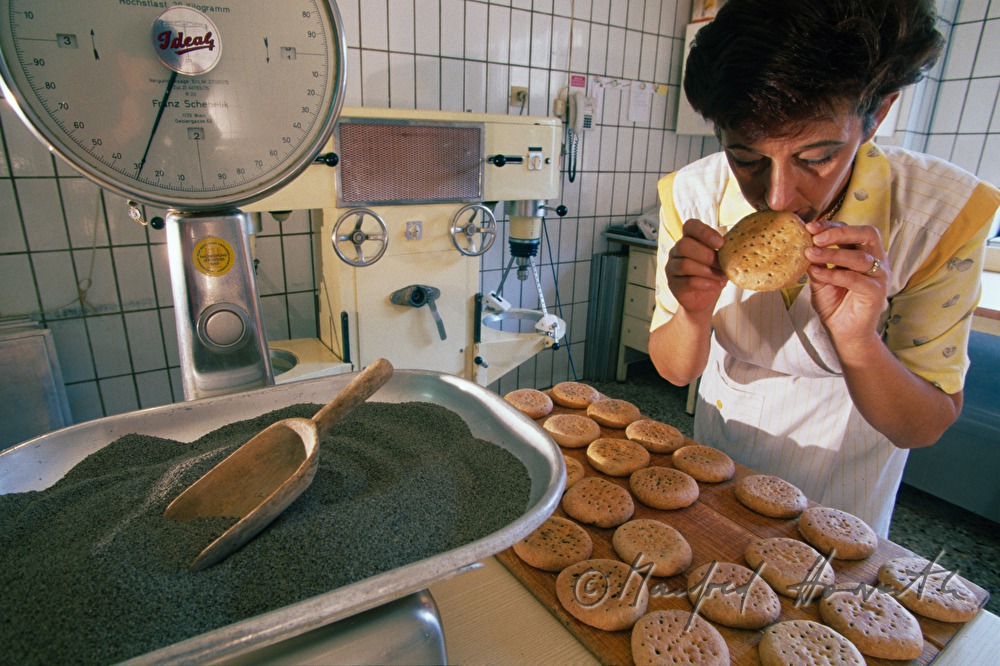Bäckerei Pilz, Zubereiten von Mohnzelten