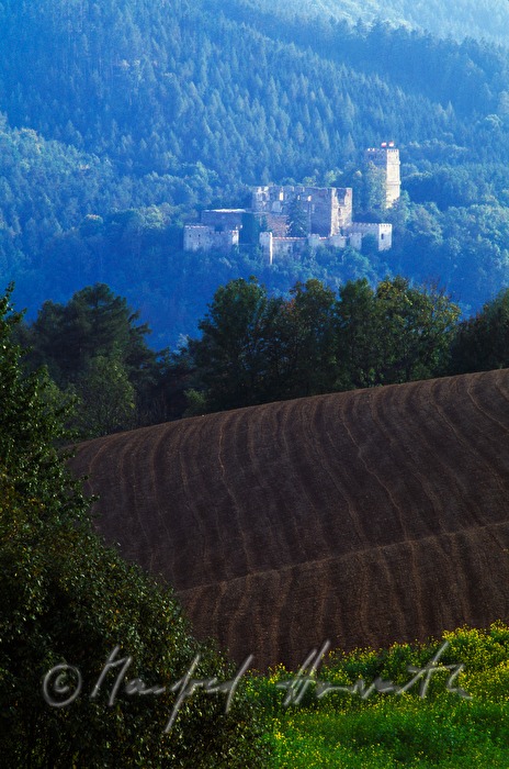 Burgruine und rollende Felder