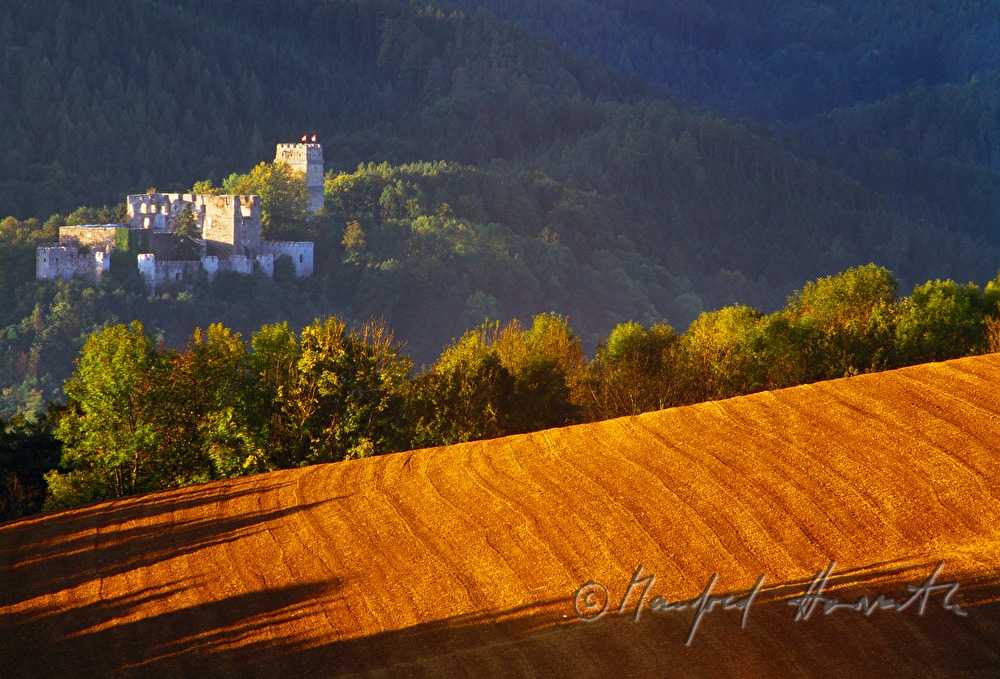 Burgruine und rollende Felder