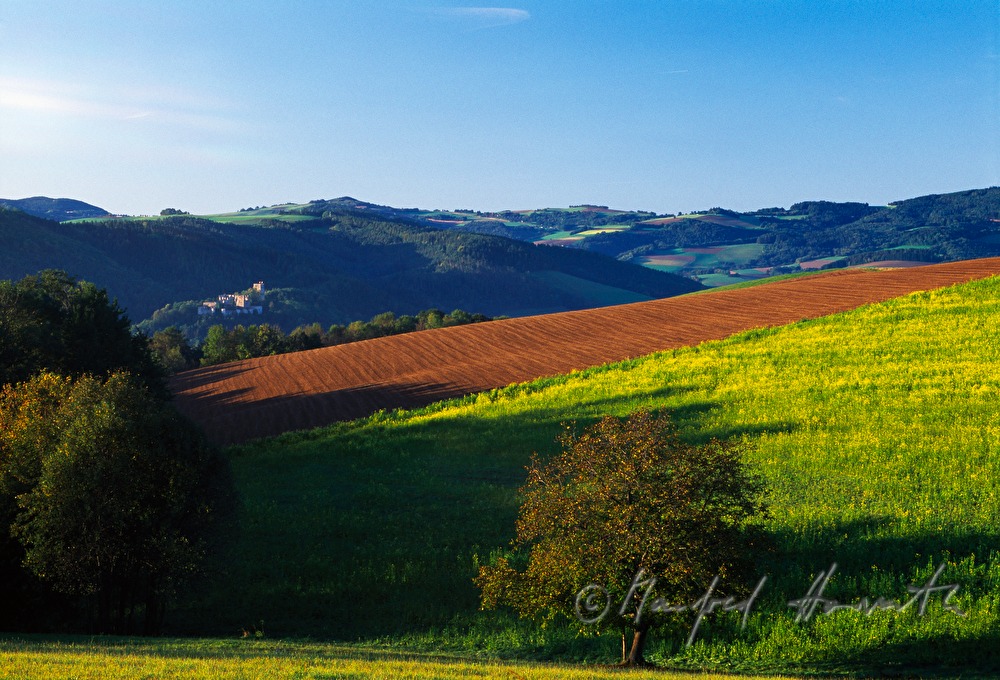 Burgruine und rollende Felder