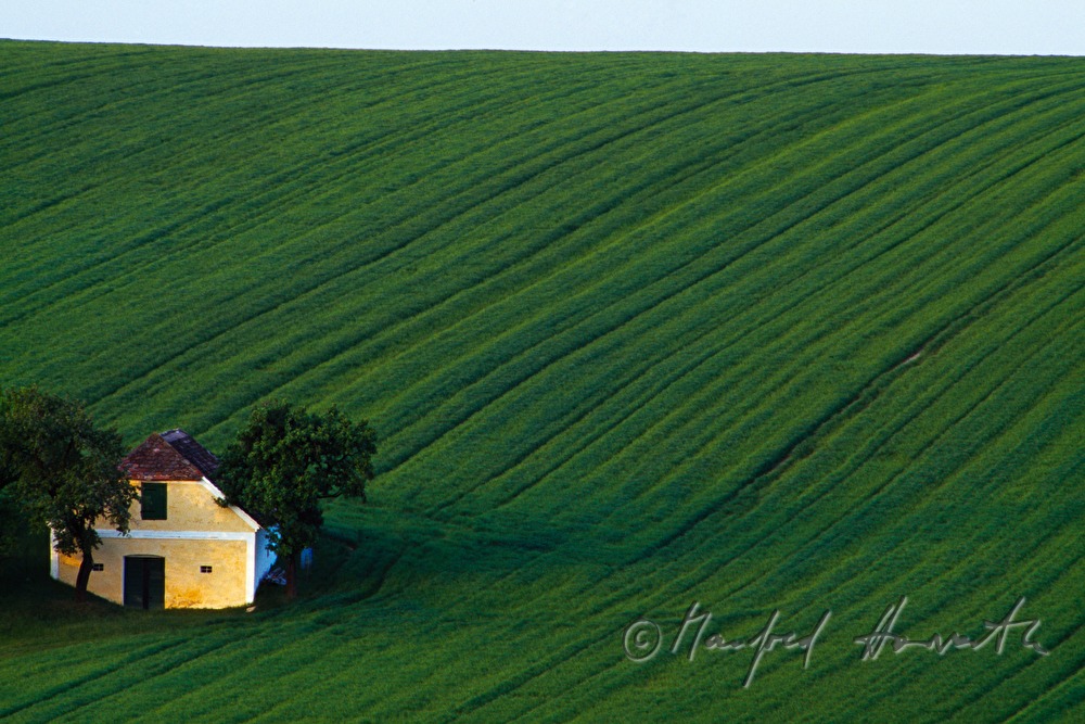einzelner Weinkeller in einem Feld