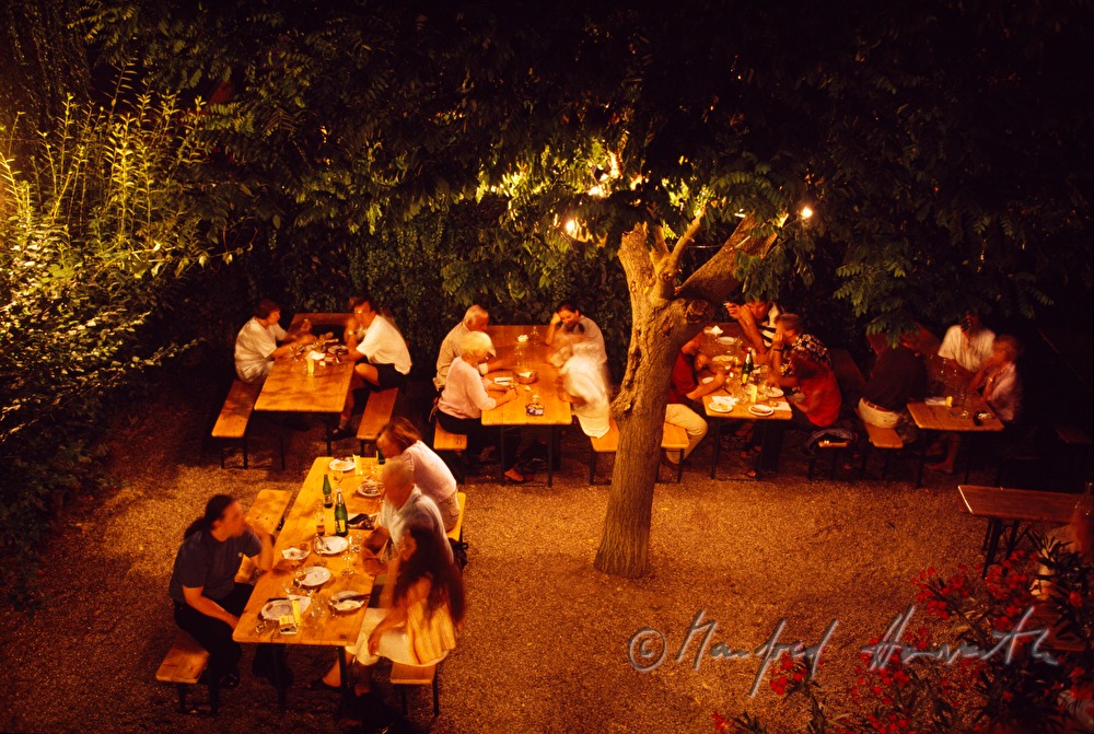 Heurigen Gruber, Gastgarten