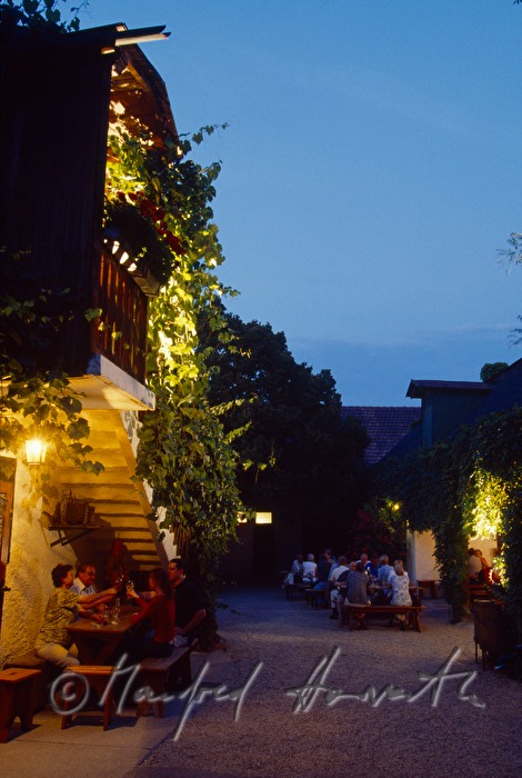 Heurigen Gruber, Gastgarten