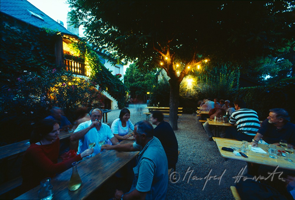 Heurigen Gruber, Gastgarten