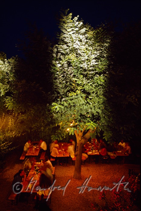 Heurigen Gruber, Gastgarten