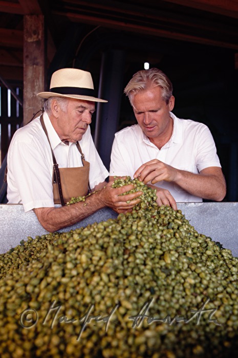 Bierbrauer KArl Schwarz Vater und Sohn in der Hopfen-Scheune