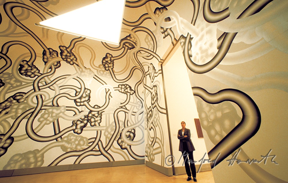 Sammlung Essl, Installation von Peter Kogler