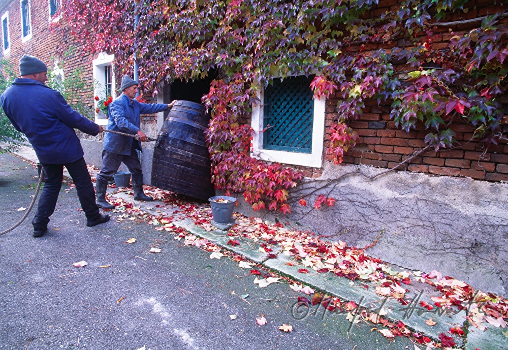 Holzfass-Transport in den Mostkeller