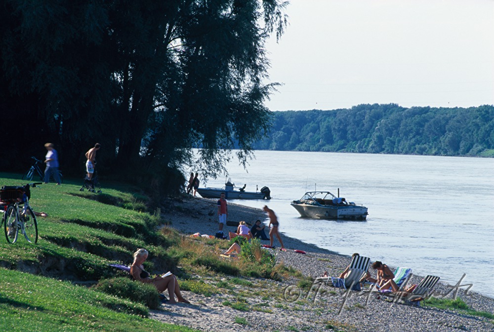 Badegäste am Donaustrand des 