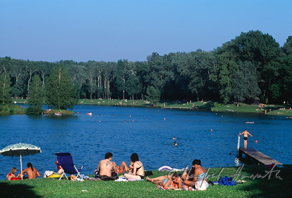 Badesee des Aubad in den Donauauen