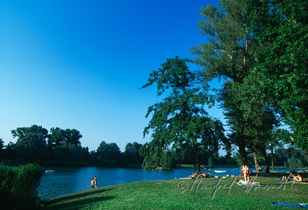 Badesee des Aubad in den Donauauen