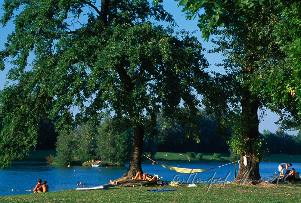 Badesee des Aubad in den Donauauen