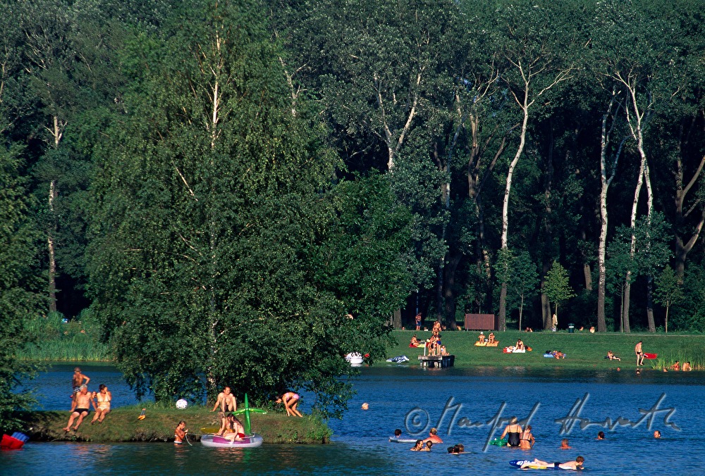 Badesee des Aubad in den Donauauen