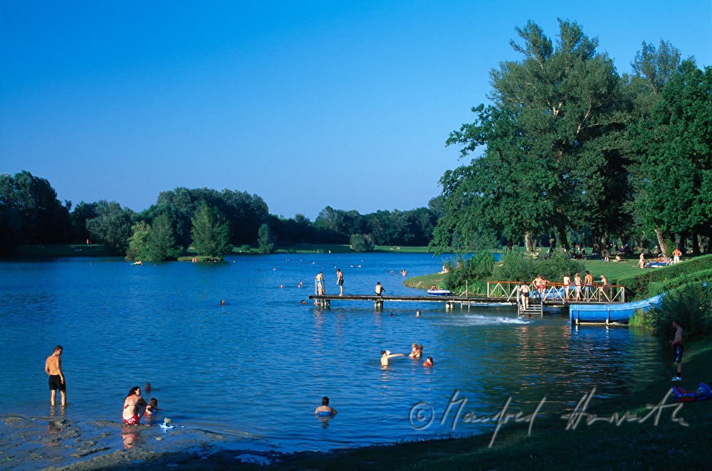 Badesee des Aubad in den Donauauen