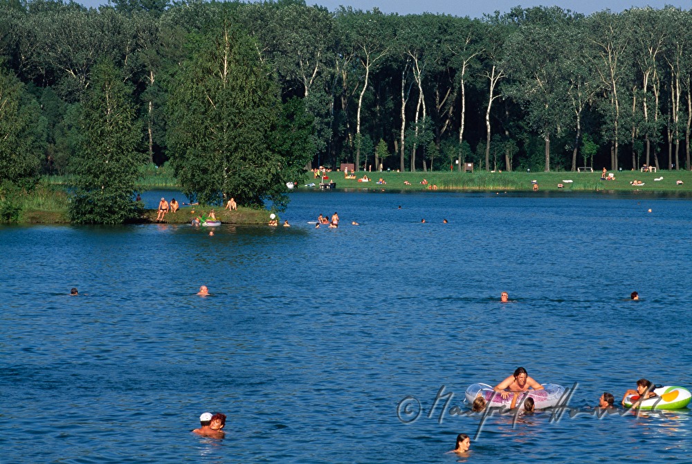 Badesee des Aubad in den Donauauen