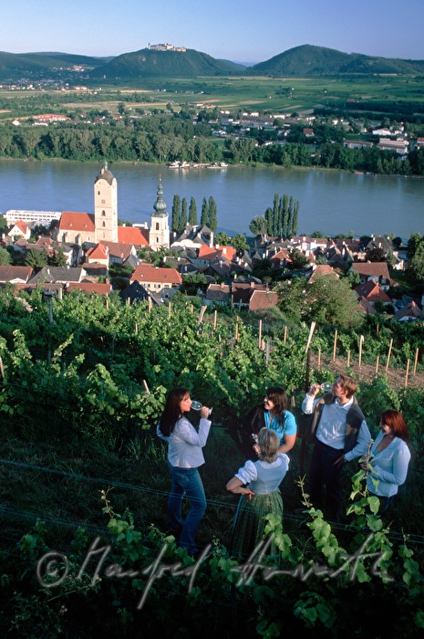 Picknick in den Weinterrassen