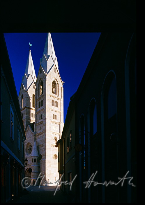 Dom von Wiener Neustadt (Liebfrauendom)