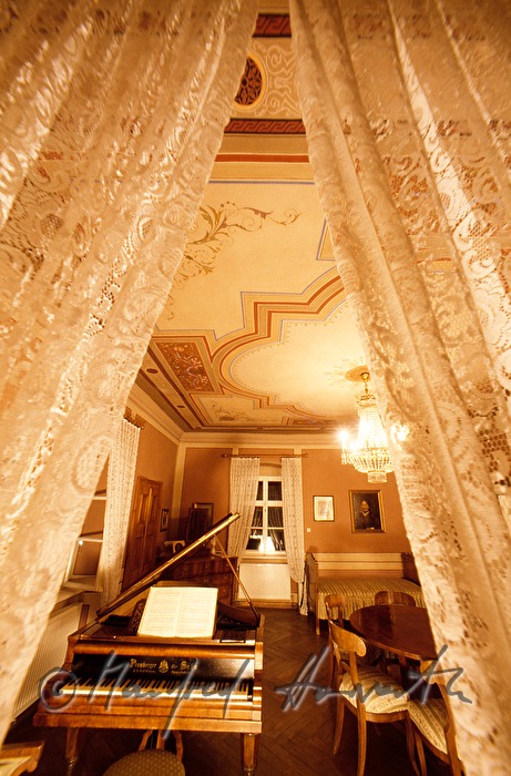 Hugo-Wolf-Museum, Blick in das Arbeitszimmer