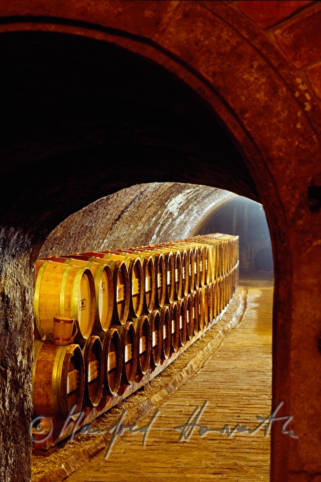 Weinkeller im Weingut Stiegelmar