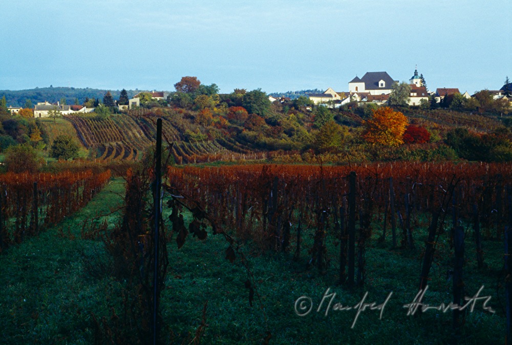 Blick von Süden zum Oberberg