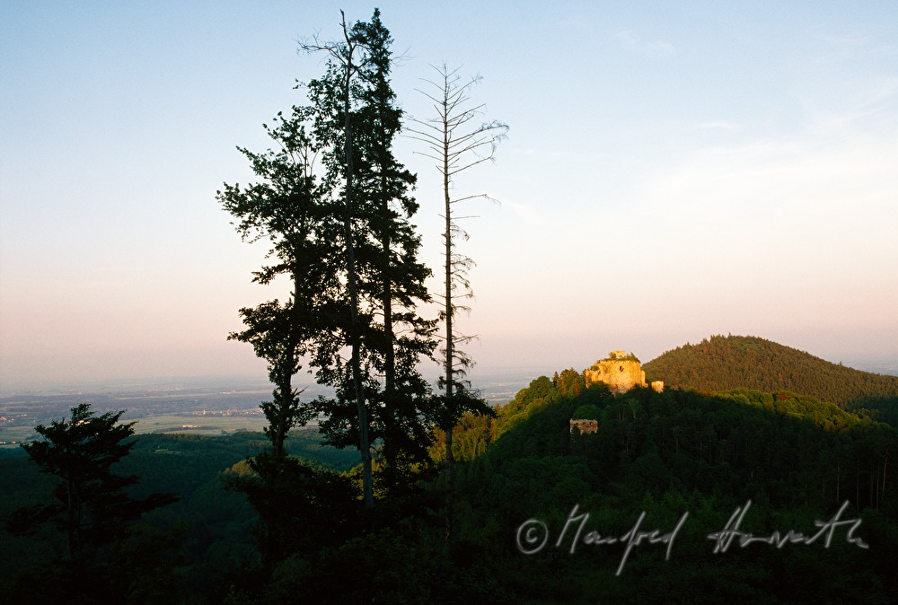 Burgruine Landsee im Naturpark Landseer Berge