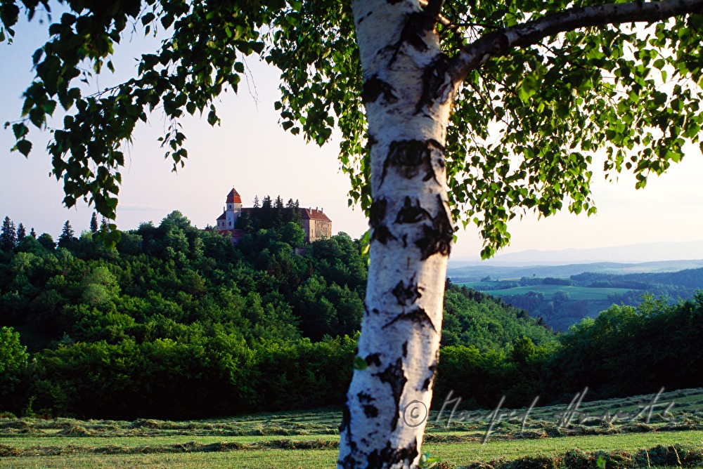 Burg, Birke und gemähte Wiese