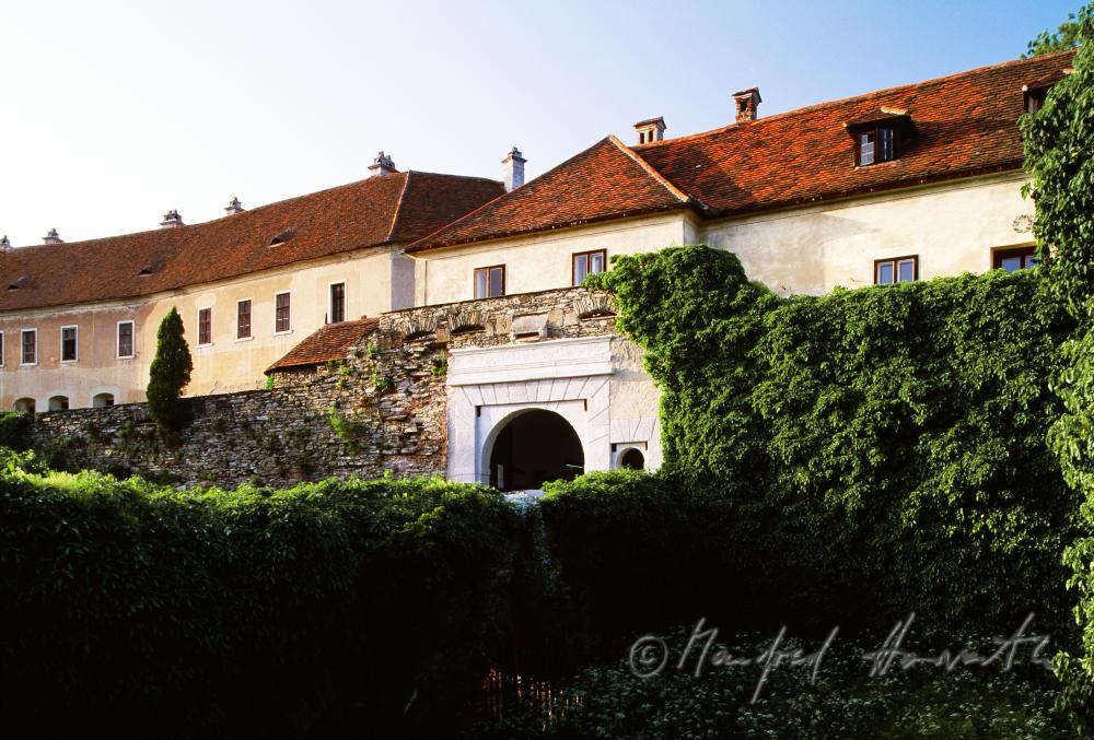 bewachsene Burgmauer und Burgtor