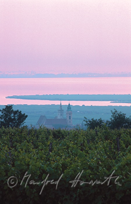 Weinberge und Neusiedlersee