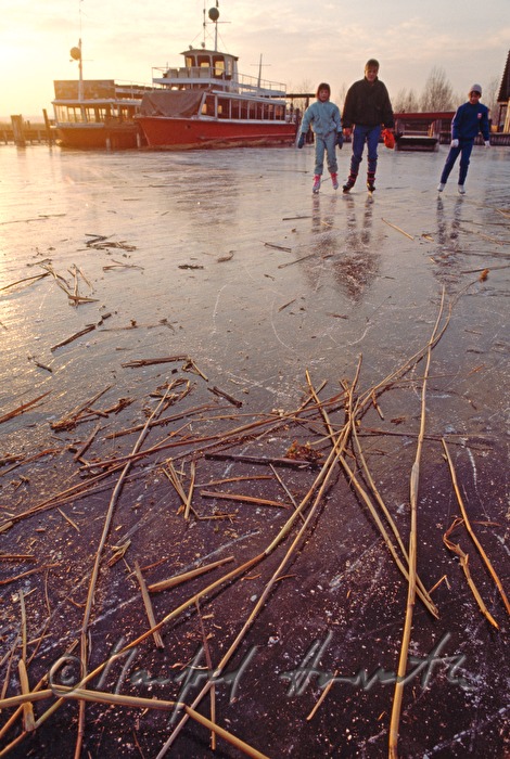 Eisläufer auf dem See