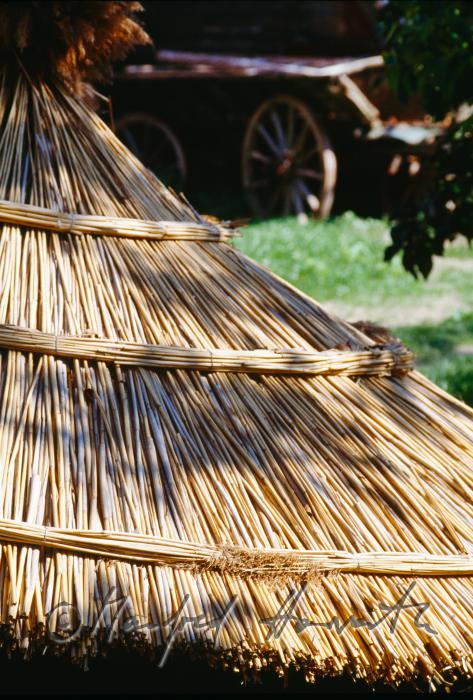 Sonnenschirm aus Schilf und Leiterwagen bei einem Bauernhaus