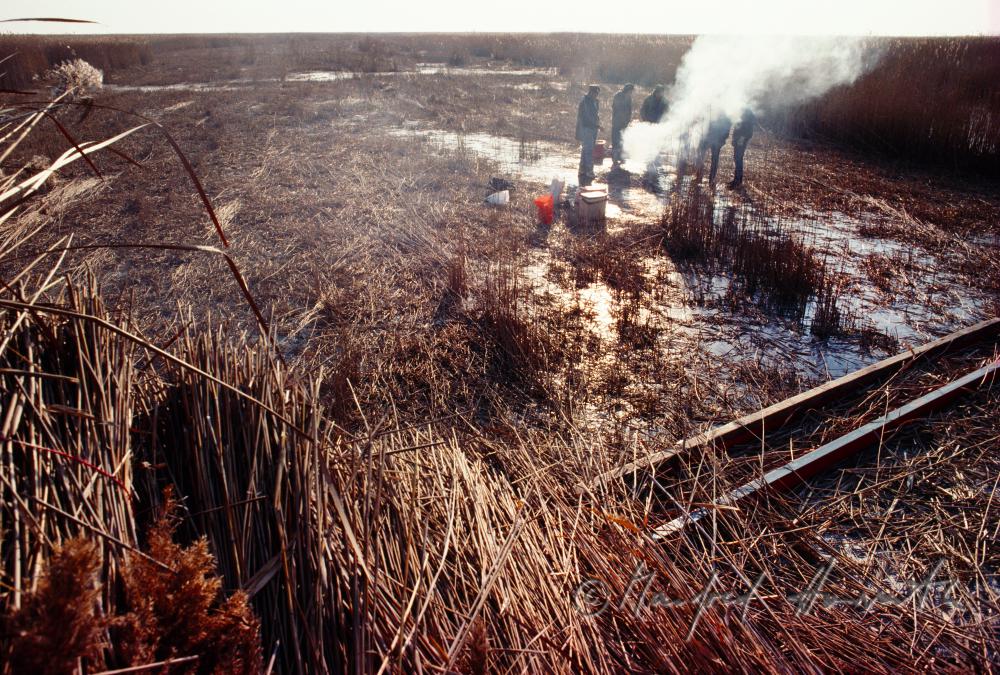 Schilfschnitter wärmen sich am Feuer nach der Schilfernte