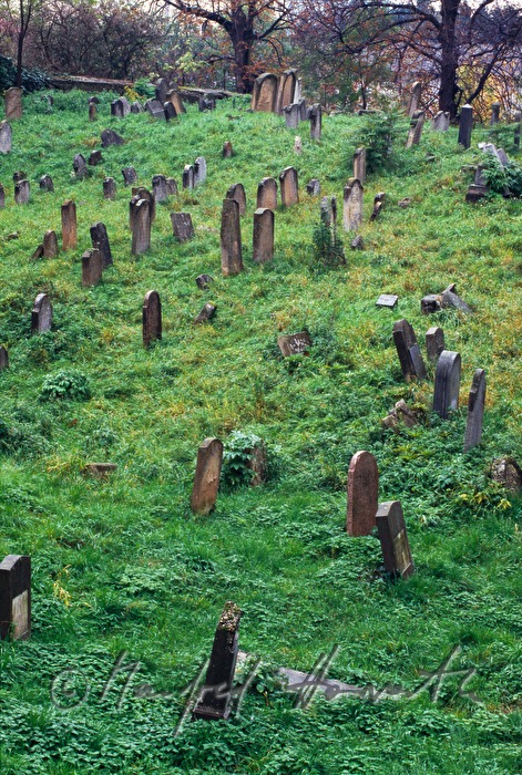 jüdischer Friedhof beim Schloss Kittsee