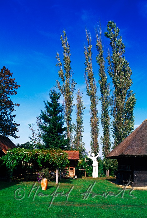 Garten im Atelierhaus im Künstlerdorf